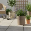 Okrasni cvetlični lonec CAPRI WIDE, bež z rastlino na terasi