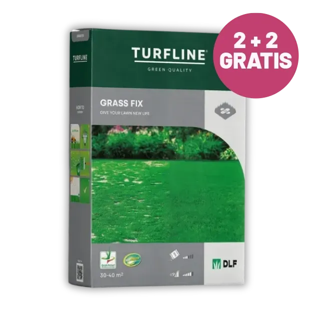 Embalažna škatla mešanice semen za travo za regeneracijo zelenice 1 kg na zelenici