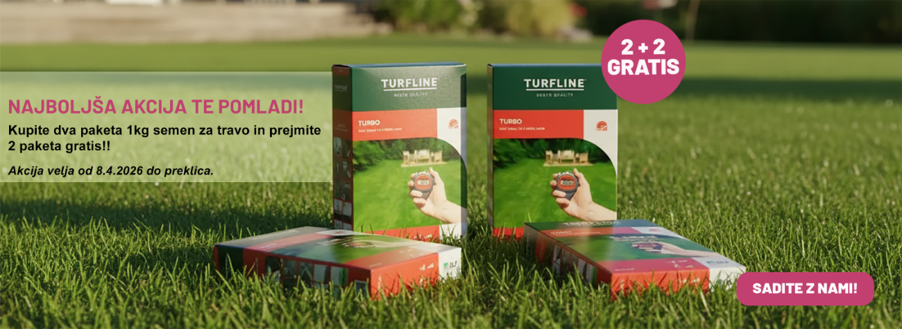 2 +2  travna semena gratis