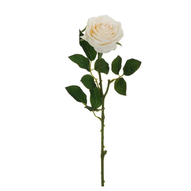 Umetna krem vrtnica Ekvador 65 cm dekorativno umetno cvetje