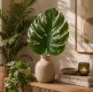 Realistično umetno zelenje Monstera Real Touch v temno zeleni barvi z velikim tropskim listom in dolžino 76,5 cm za moderno dekoracijo doma ali poslovnega prostora.