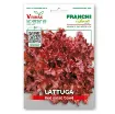 Seme solate Red Salad Bowl (Lactuca sativa) z rdeče-rjavimi hrustljavimi listi