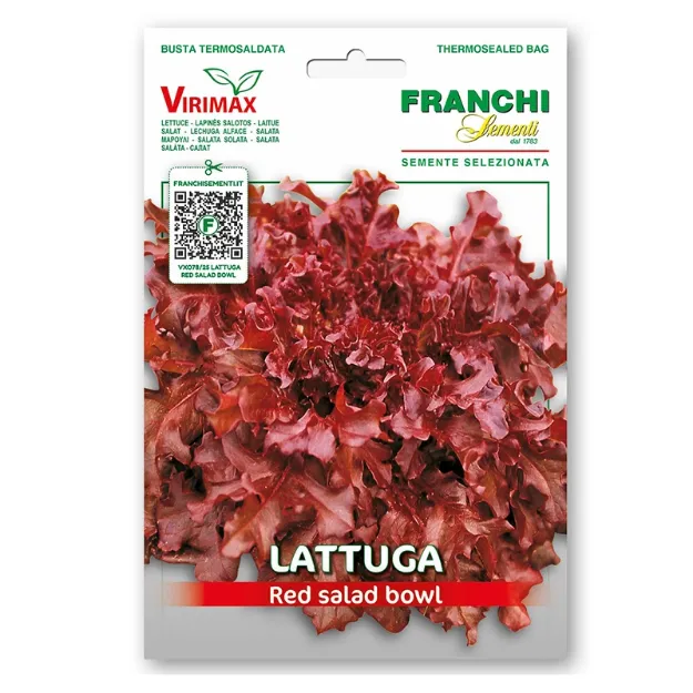 Seme solate Red Salad Bowl (Lactuca sativa) z rdeče-rjavimi hrustljavimi listi