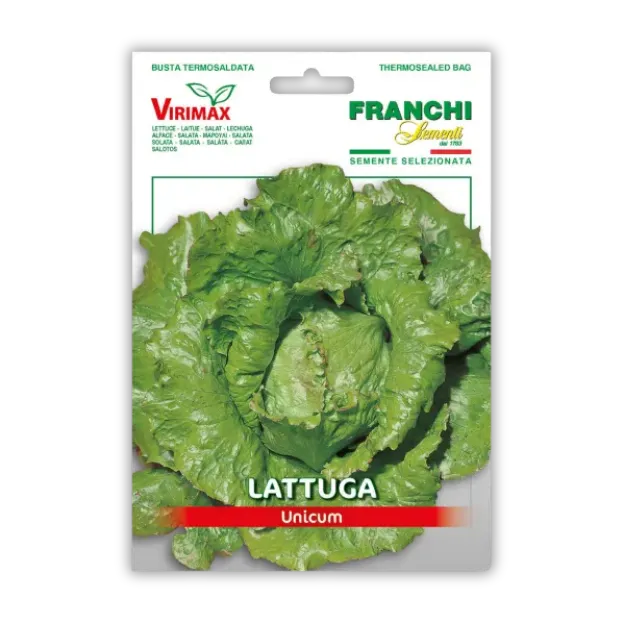 Solata Unicum hrustljava