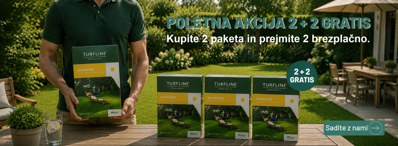 2 +2  travna semena gratis
