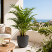 Moderni okrasni lonec Havana Tropical za notranje in zunanje rastline