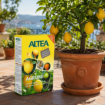 Altea Agrumi organsko gnojilo za limone, mandarine, pomaranče in druge agrume