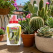Altea Cactus tekoče biološko gnojilo za kaktuse in sukulente