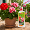 Altea Gerani tekoče biološko gnojilo za pelargonije in balkonsko cvetje