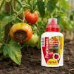 Altea Fruttosano tekoče kalcijevo gnojilo proti pomanjkanju kalcija pri sadju in zelenjavi