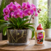 Altea Orchidea tekoče gnojilo za orhideje z aminokislinami in vitamini