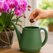 Altea Orchidea tekoče gnojilo za orhideje z aminokislinami in vitamini