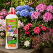 Altea Piante Acidofile tekoče gnojilo za hortenzije, azaleje, rododendrone in druge kisloljubne rastline
