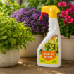 Altea Neem olje Spray 500 ml – pripravljena raztopina neem olja z razpršilko