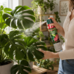 Altea Lucidante Fogliare 750 ml – profesionalni sprej za sijoče liste sobnih rastlin
