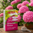 Altea Ortensia Rossa 500 g – organo-mineralno gnojilo za rožnate in rdeče hortenzije