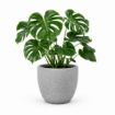 Siv keramični cvetlični lonec Héstia z naravno kamnito teksturo za sobne rastline.