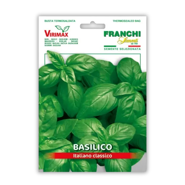 Bazilika - Italijanska klasika