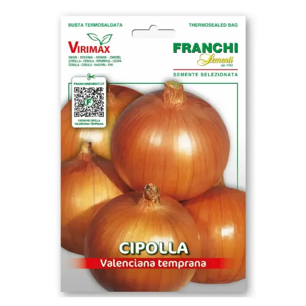 Semena čebule Valenciana Temprana Franchi Sementi, zgodnja sorta čebule s srednje velikimi stožčastimi čebulicami, zlato ovojnico in belim nežnim mesom.