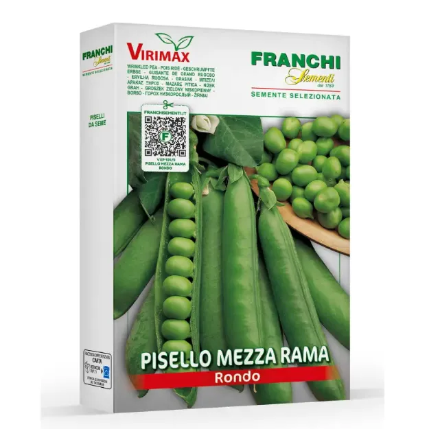 Semena graha Rondo Franchi Sementi, srednje zgodnja sorta z nagubanimi zrni, rastlinami višine približno 70 cm ter zelenimi stroki dolžine 10–11 cm.